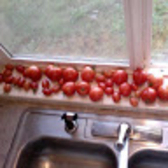 Meet your Posher, Alexis - Picture 1 of 1